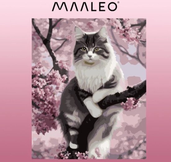 Maaleo Schilderen op Nummer 40x50cm Kitten - Ontspan en Creëer Kunst