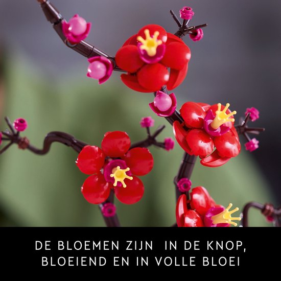 LEGO Icons Japanse abrikoos - Botanical Collection - 10369
