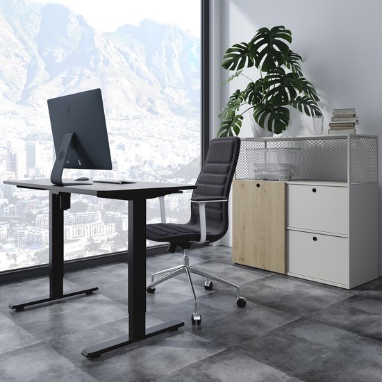 Ergo Office - Elektrisch bureau - 1 motor - Hoogteverstelbaar max1160mm tot 80kg - ER-443