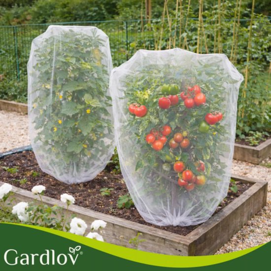 Gardlov Beschermnet 3 x 6 m wit HDPE fijn gaas tegen insecten en vogels voor moestuin