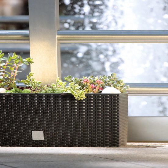 Prosperplast Bloembak/plantenbak op poten Rato - met irrigatiesysteem - antraciet - 60 x 25 x 46 cm